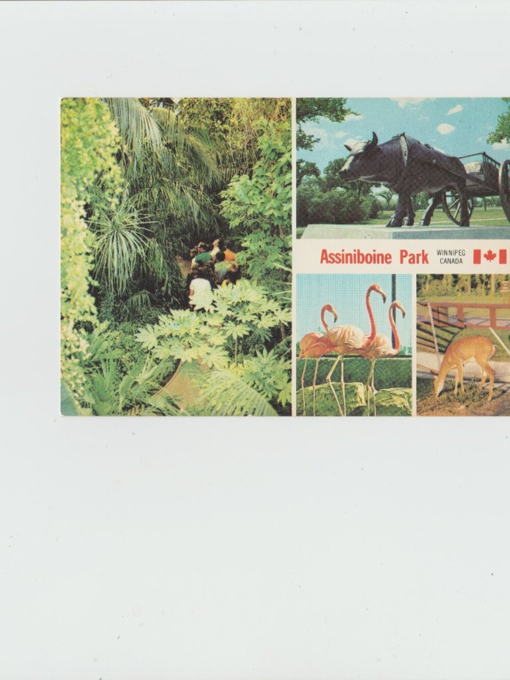 Assiniboine Park Winnipeg, MB, Canada Postcard